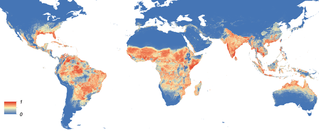Aedes Aegypti Distribuição Global